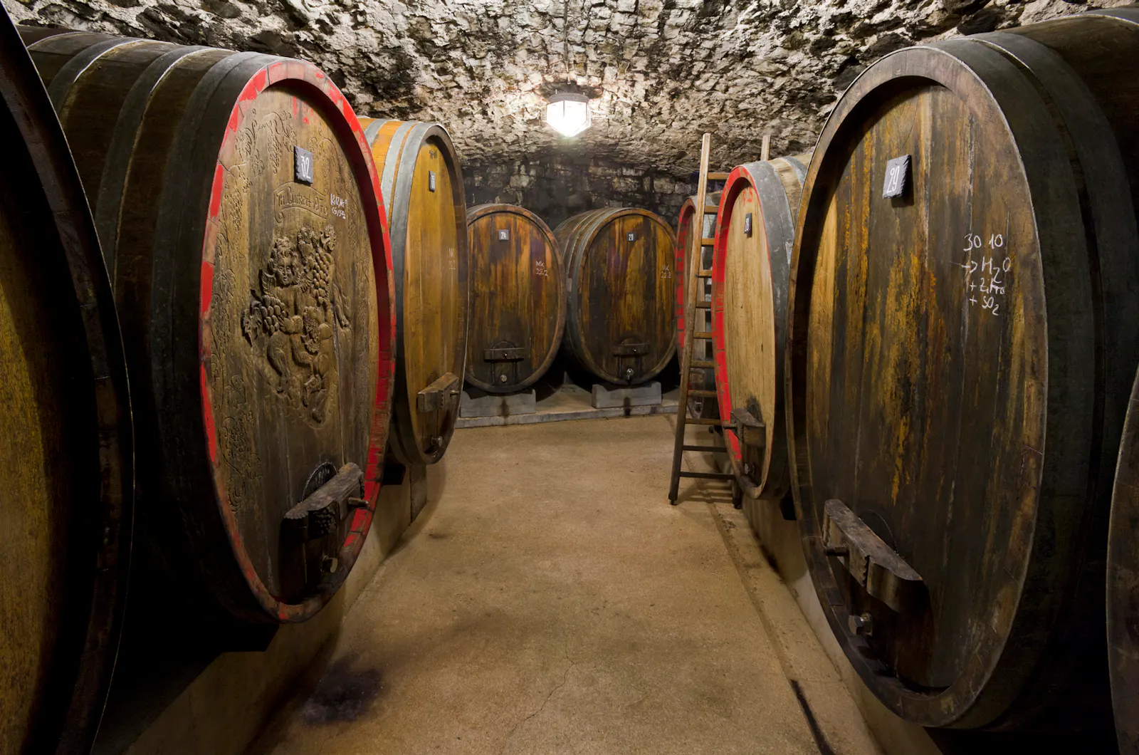 Große Holzfässer voll mit Wein stehen im Weinkeller des Weinguts Zehnthof Luckert