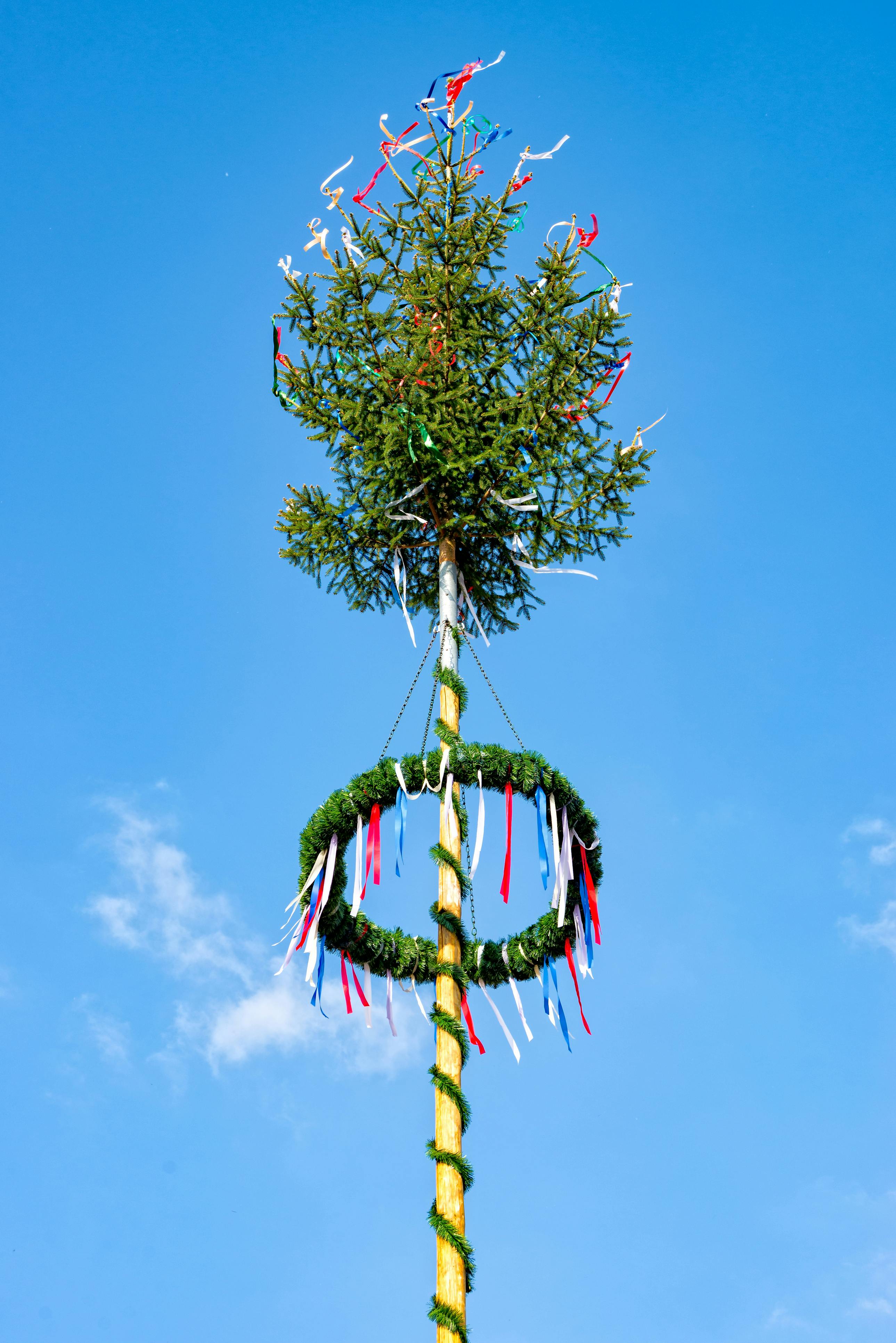 Das Bild zeigt die Spitze eines geschmückten Maibaums vor blauem Himmel. Am Stamm hängen bunte Bänder und ein grüner Kranz.