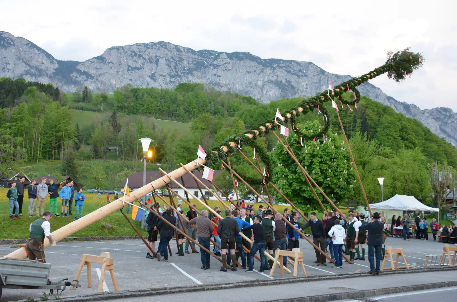 Das Bild zeigt viele Menschen, die gemeinsam einen großen Maibaum mit langen Holzstangen aufrichten. Im Hintergrund sind Berge und grüne Wiesen zu sehen.