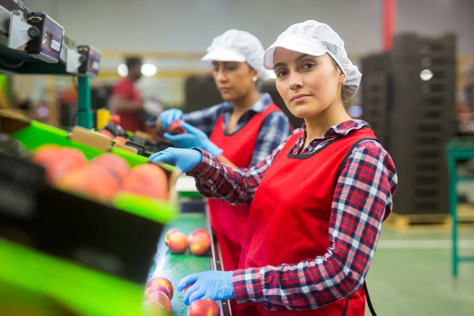 Das Bild zeigt zwei Frauen mit Häubchen und roten Schürzen, die in einer Lebensmittelfabrik arbeiten. Sie sortieren Äpfel auf einem Förderband.