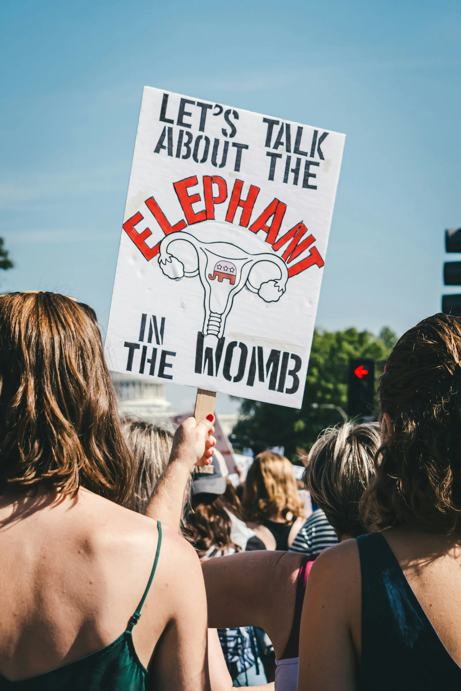 Eine Demonstration: Verschiedene Personen von hinten. Eine hält ein Schild in die Höhe. Darauf steht: "Let's talk about the elephant in the womb."