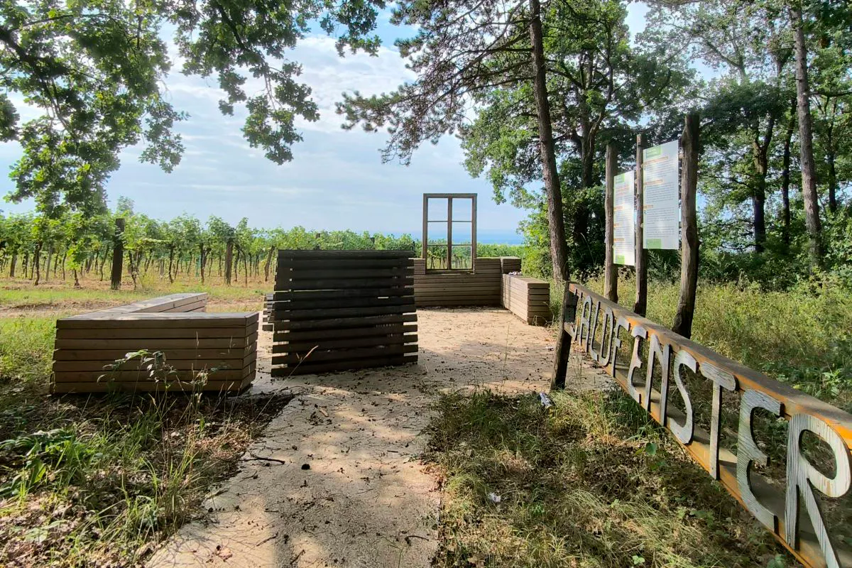 Waldfenster in den Weinbergen über Feuersbrunn am Wagram