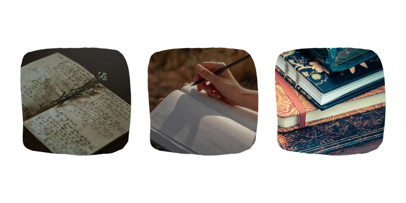 aufgeschlagenes Buch, hand mit Stift person schreibt in journal