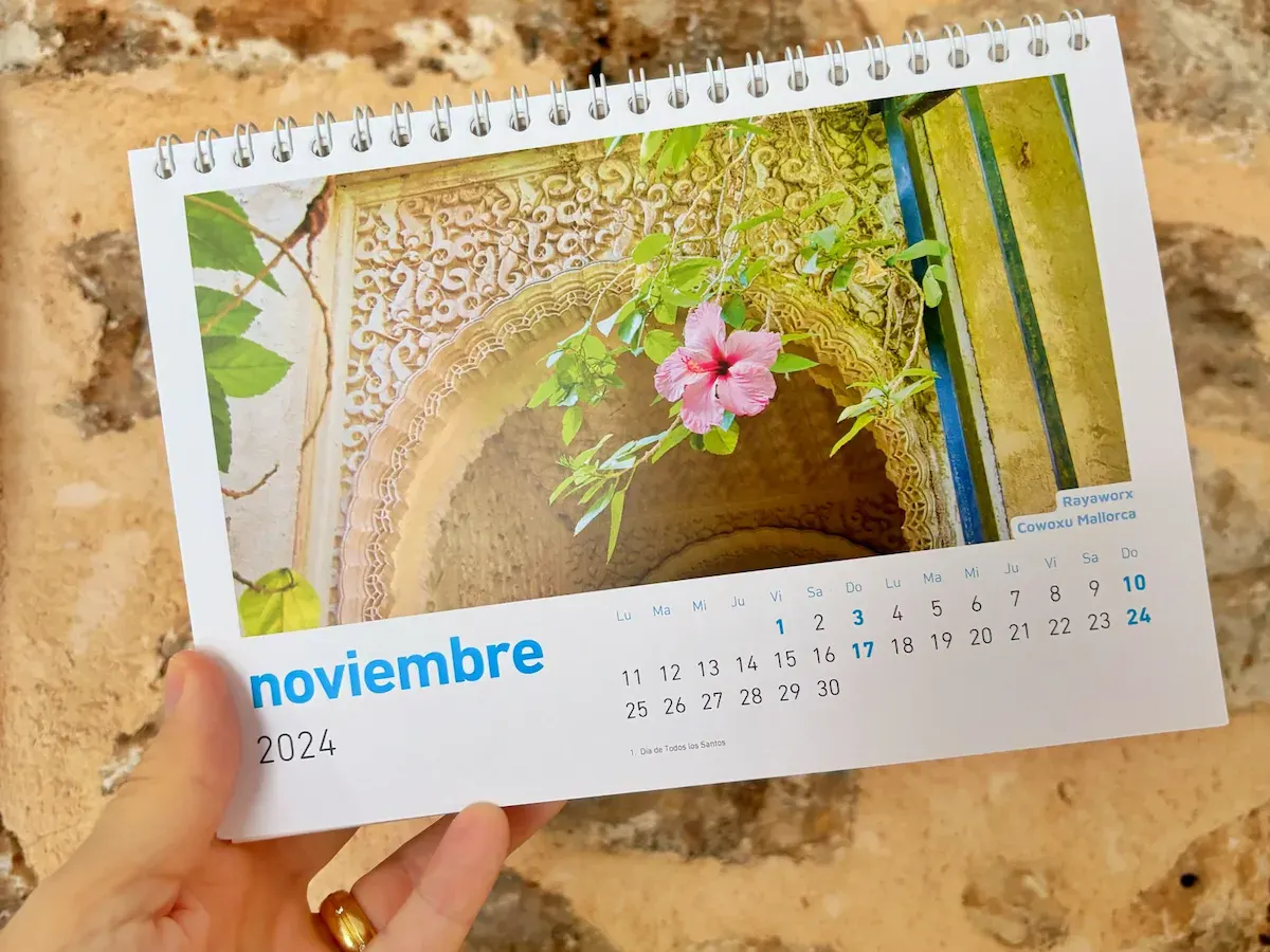 Rayaworx Calendario November 2024