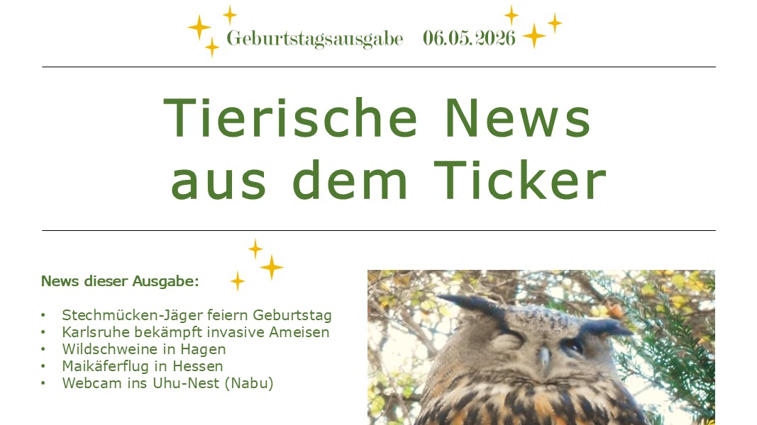 Layout im Zeitungsstil, Text: Geburtstagsausgabe 6.5.2026, Tierische News aus dem Ticker, News dieser Ausgabe: Stechmücken-Jäger, Karlsruhe bekämpft invasive Ameisen, Wildschweine in Hagen, Maikäfer-Flug in Hessen, Nabu-Webcam ins Uhu-Nest.