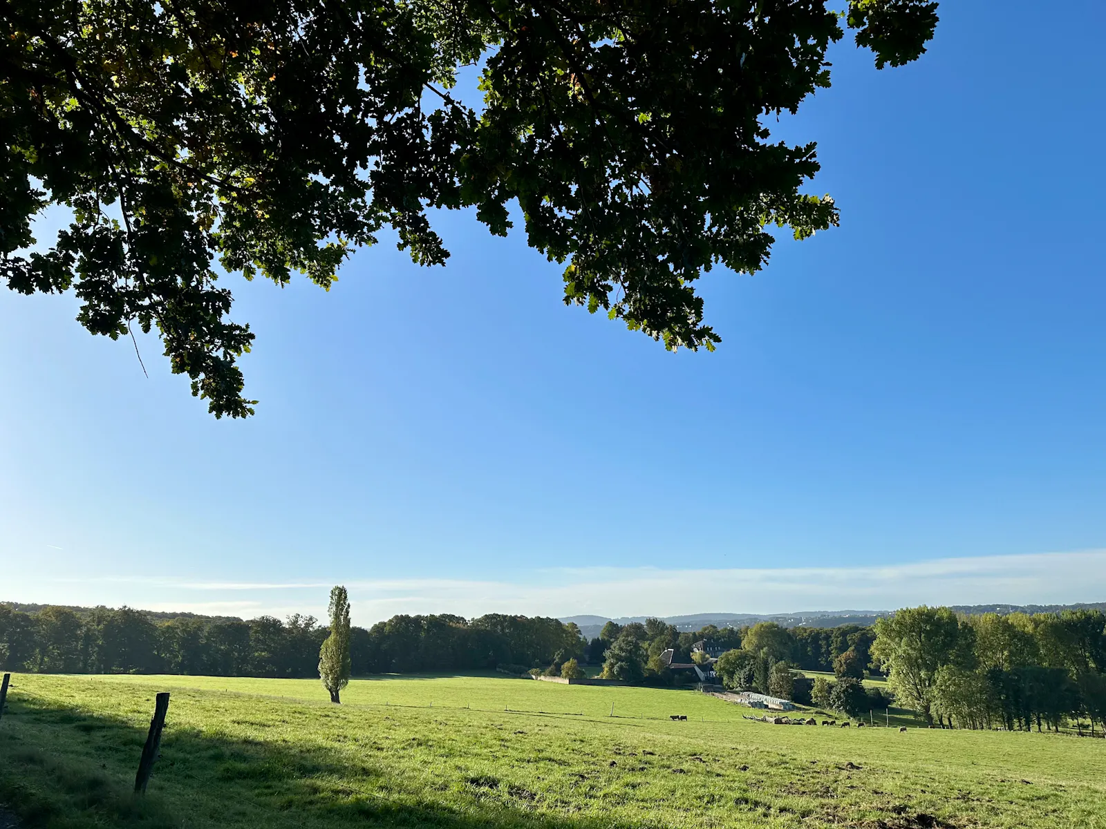 Blick über eine Landschaft mit Weiden und wenigen Gebäuden bei blauem Himmel und Sonnenschein