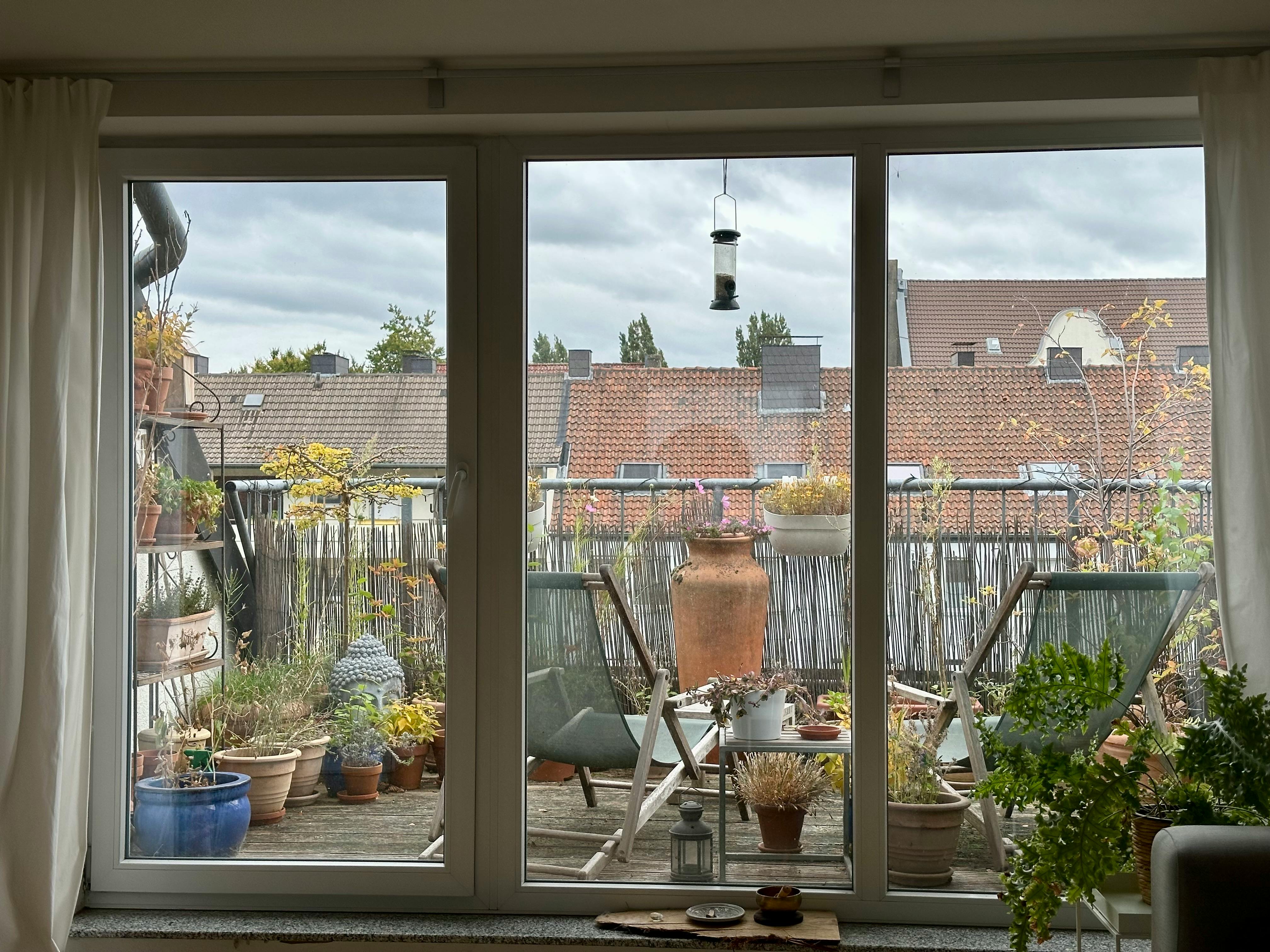 Dachterrasse mit verschiedenen Pflanzen darauf, deren Blätter im trüben Herbstlicht bunt leuchten.
