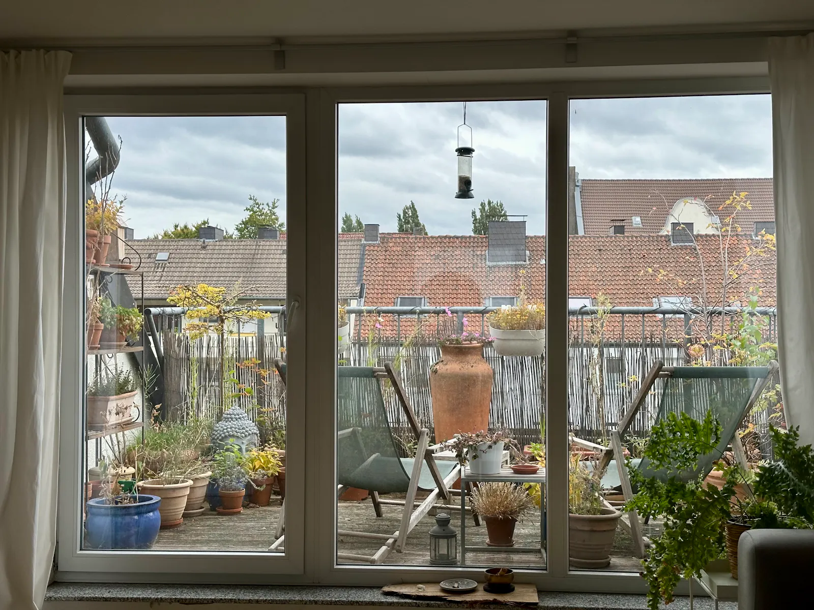 Dachterrasse mit verschiedenen Pflanzen darauf, deren Blätter im trüben Herbstlicht bunt leuchten.