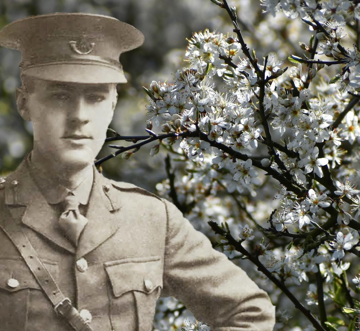 Montage of G.B. Smith (1894–1916) against a background photo by John Garth of hawthorn blossom