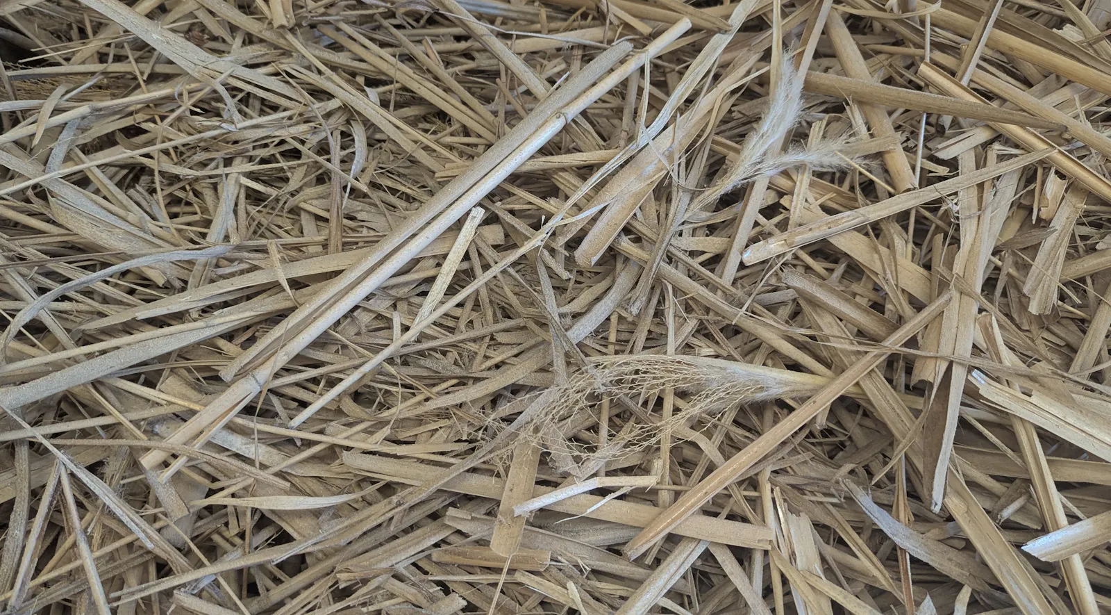 Miscanthus-Mulch ist vielseitig einsetzbar.