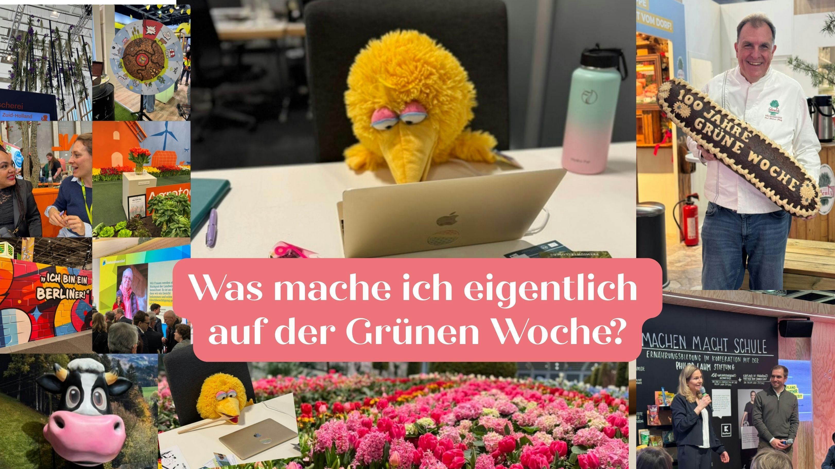 Hinter den Kulissen: Meine Arbeit auf der Grünen Woche 2026