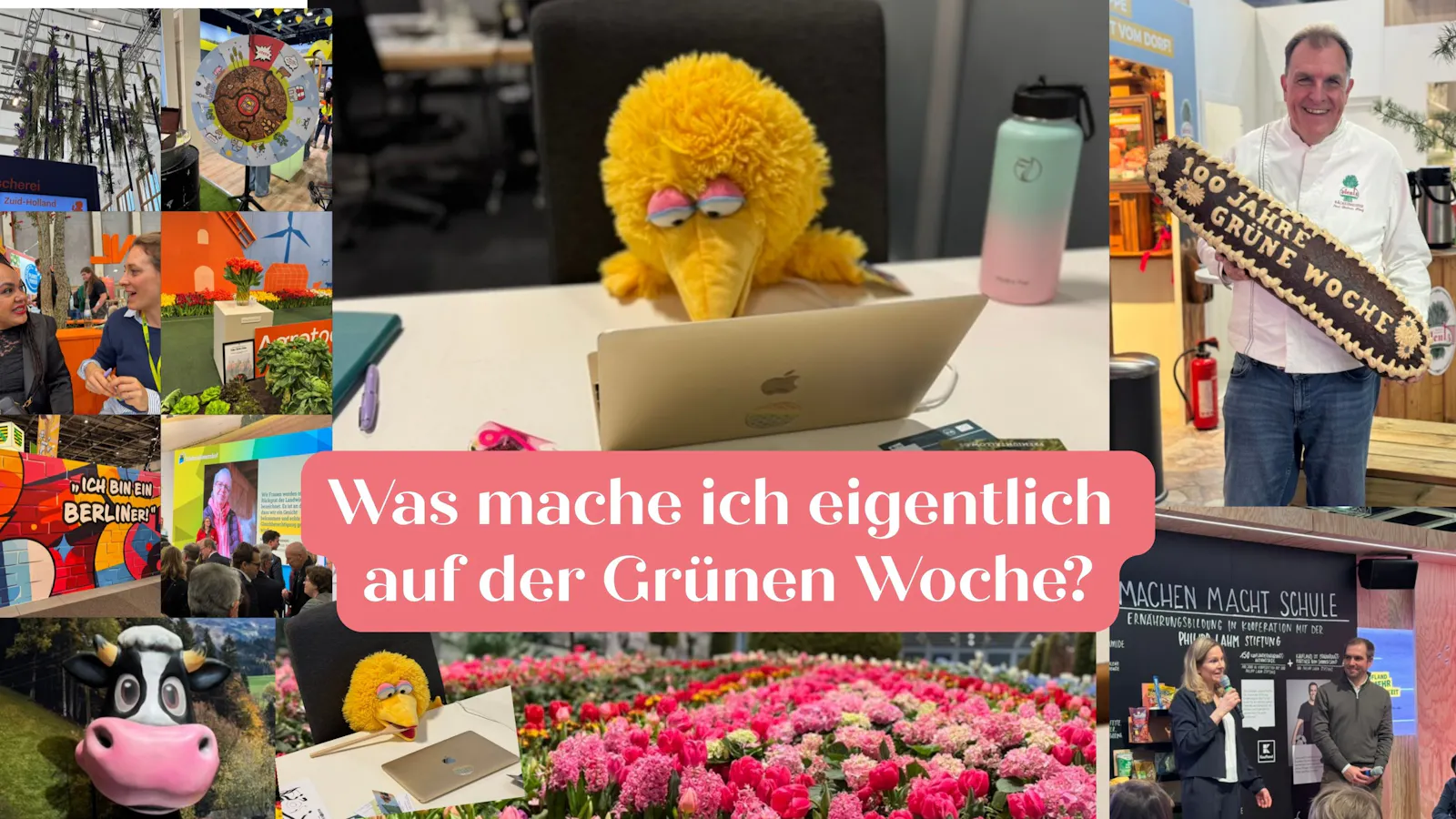 Hinter den Kulissen: Meine Arbeit auf der Grünen Woche 2026
