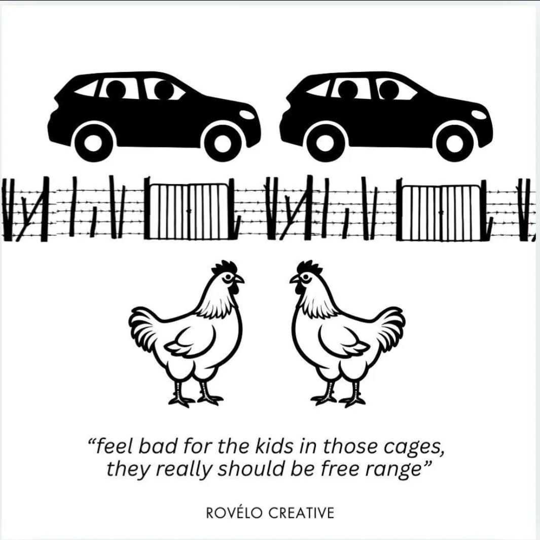 feel bad for the kids in those cages, they really should be free range.