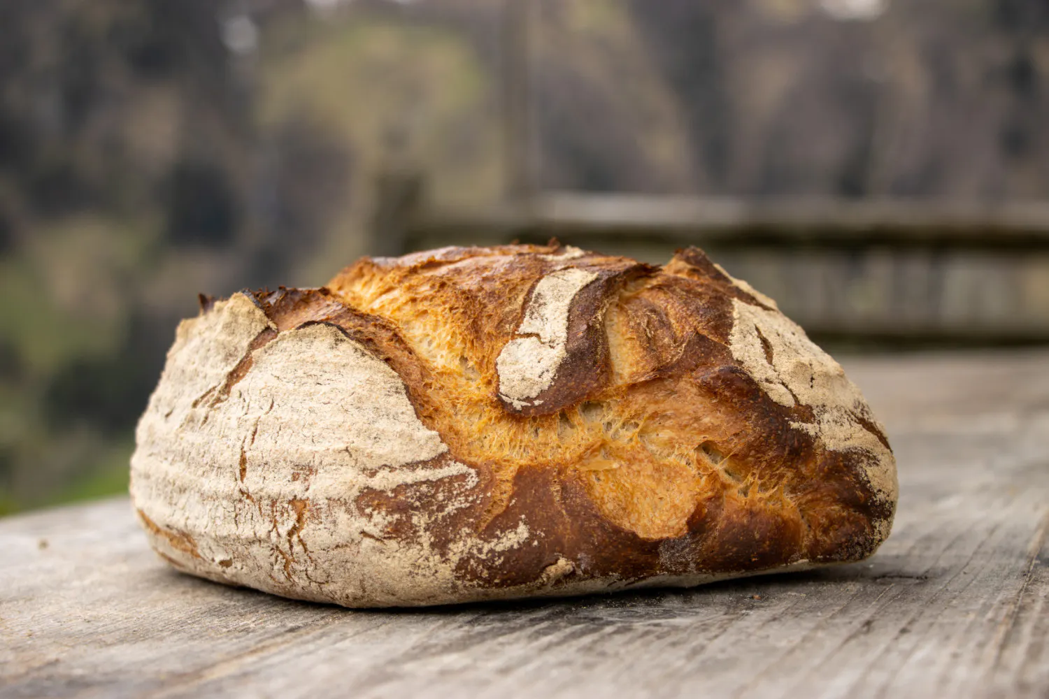 Ein Brot aus "naturreinen" Rohstoffen.
