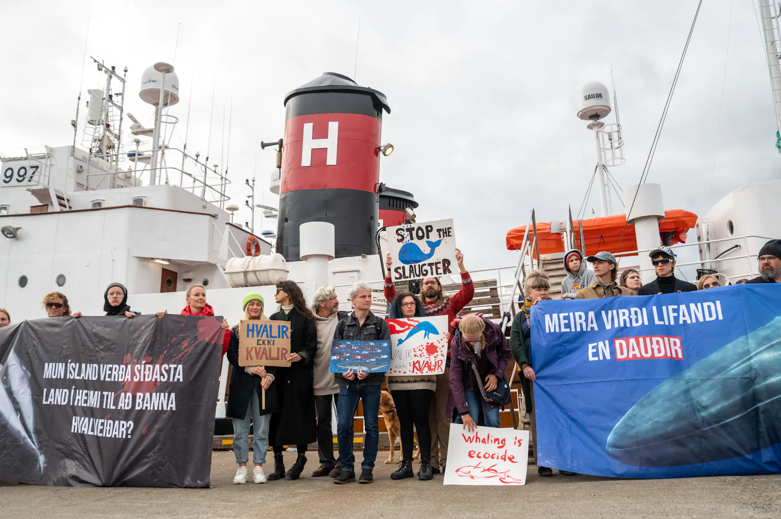 Anti-whaling activists protest in front of Hvalur hf's whaling ships in Reykjavík harbour on September 1, 2023. Photo: Boris Niehaus for Hard To Port