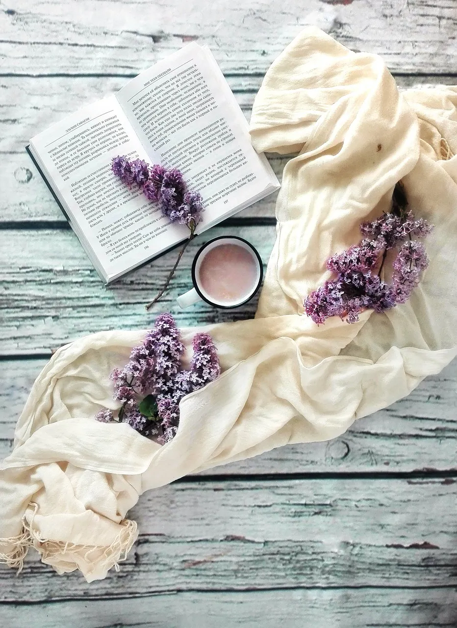 Bildquelle: Pixabay