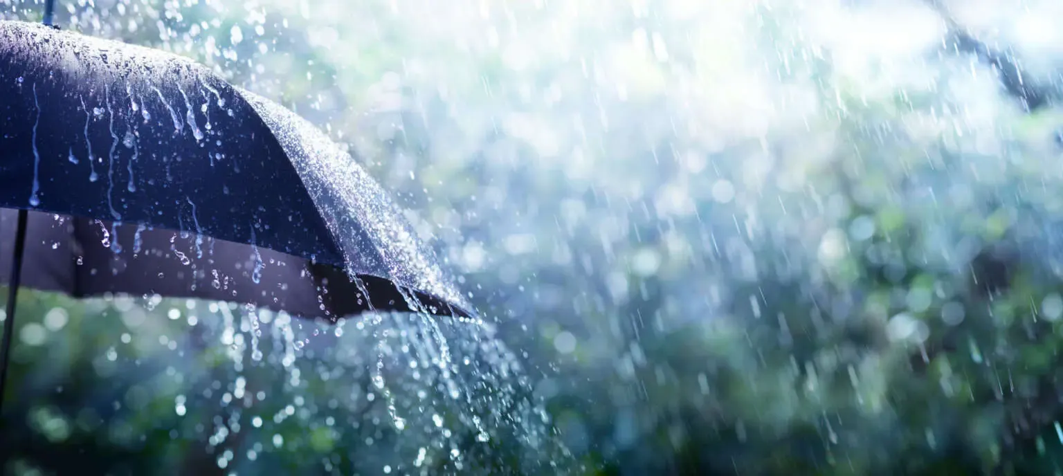 Regen tropft auf einen schwarzen Regenschirm, im Hintergrund ein Farbenspiel aus weiß, grün und blau