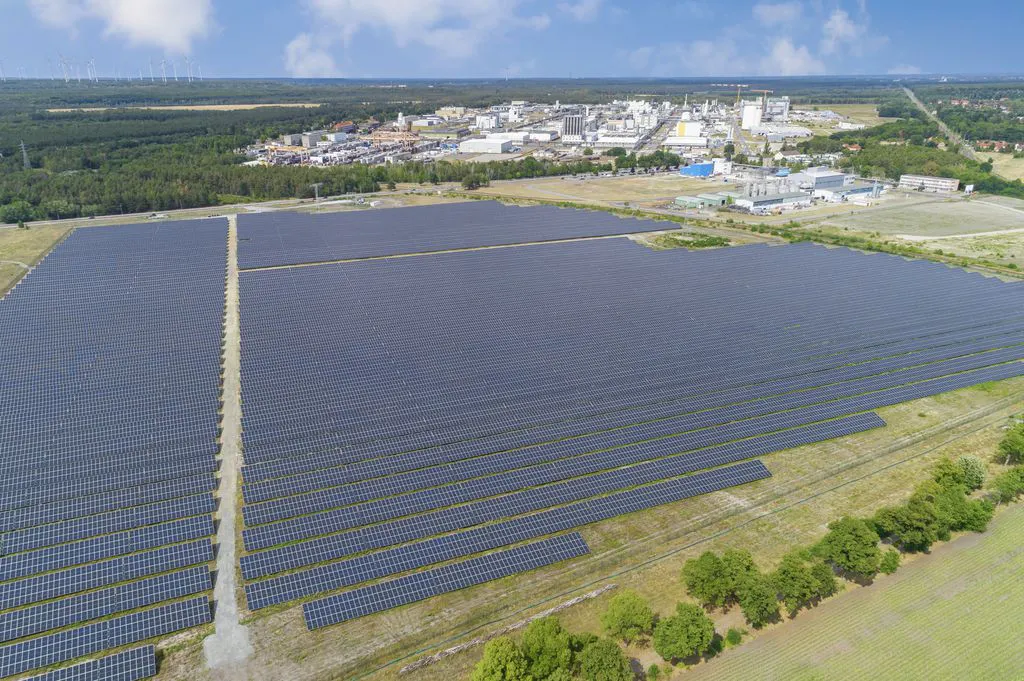 In Schwarzheide liefern 52.000 Solarmodule Strom für das BASF-Werk. Foto: BASF