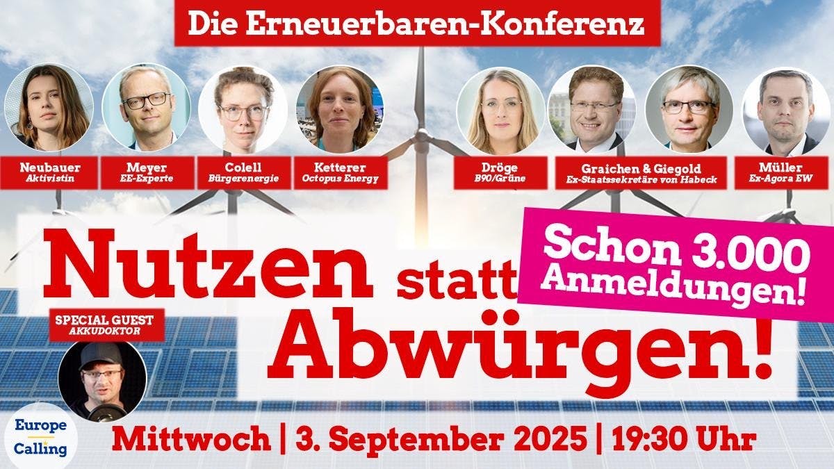 Europe Calling-Videokonferenz mit neun Expert:innen: Erneuerbare Energien nutzen statt Abwürgen