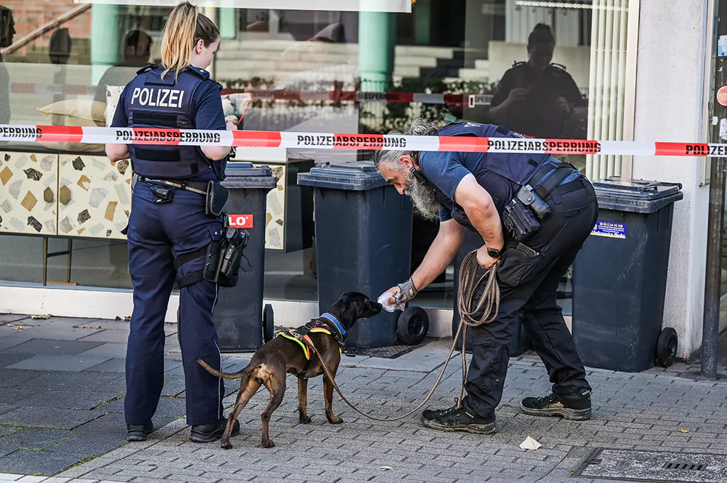 Spürhund bei der Suche in Solingen