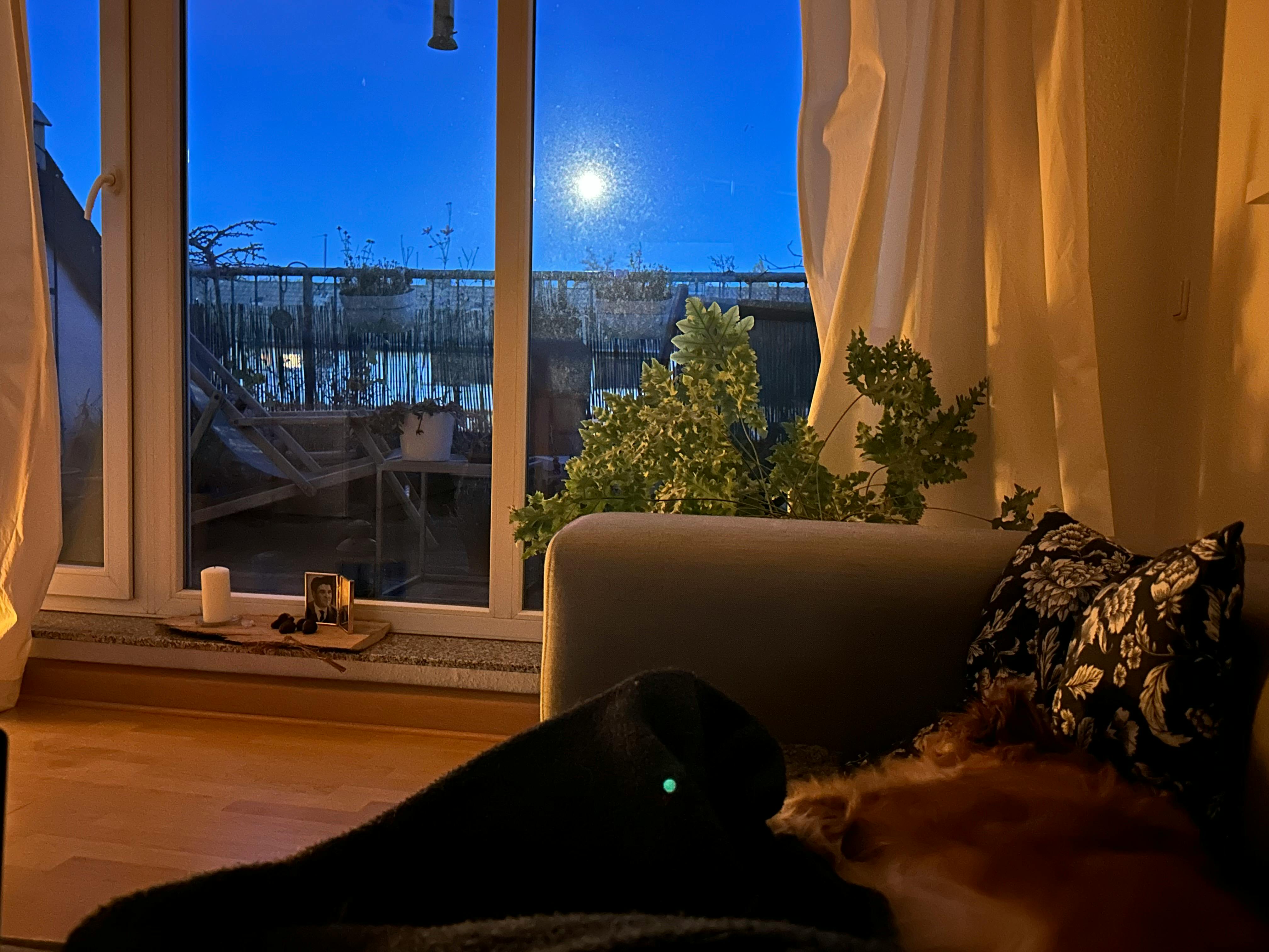 Blick von einer Couch in einem eher dunklen Wohnzimmer raus auf eine Dachterrasse. Am fast dunklen Himmel steht der Vollmond.