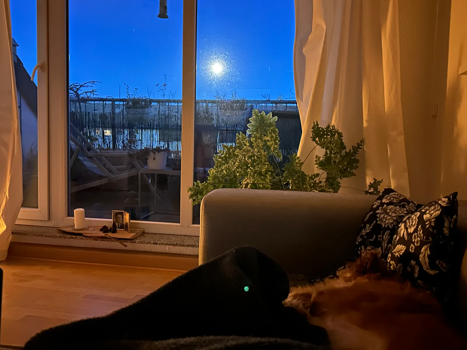 Blick von einer Couch in einem eher dunklen Wohnzimmer raus auf eine Dachterrasse. Am fast dunklen Himmel steht der Vollmond.