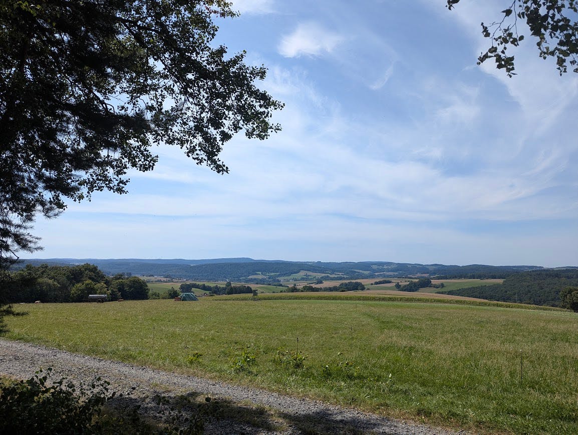 Fernblick aus dem Baumschatten über eine sonnenüberflutete Wiese mit flachen Hügeln im Hintergrund