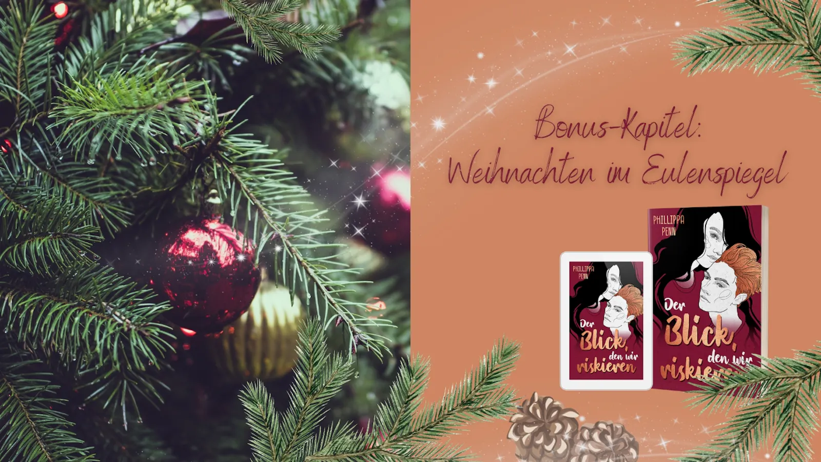 Die Titelgrafik zeigt eine rote Kugel an einem Weihnachtsbaum, neben einer Abbildung des Buches "Der Blick, den wir riskieren". In großen roten Lettern ist zu Lesen: Bonus-Kapitel. Weihnachten im Eulenspiegel.