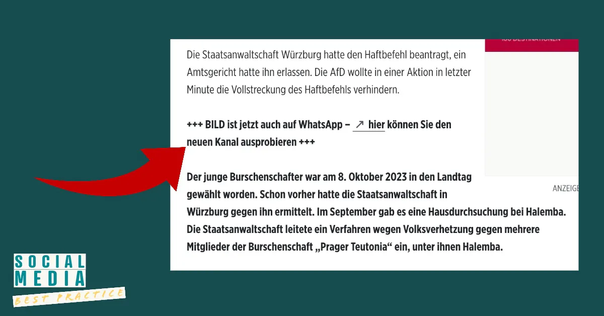 BILD Hinweis