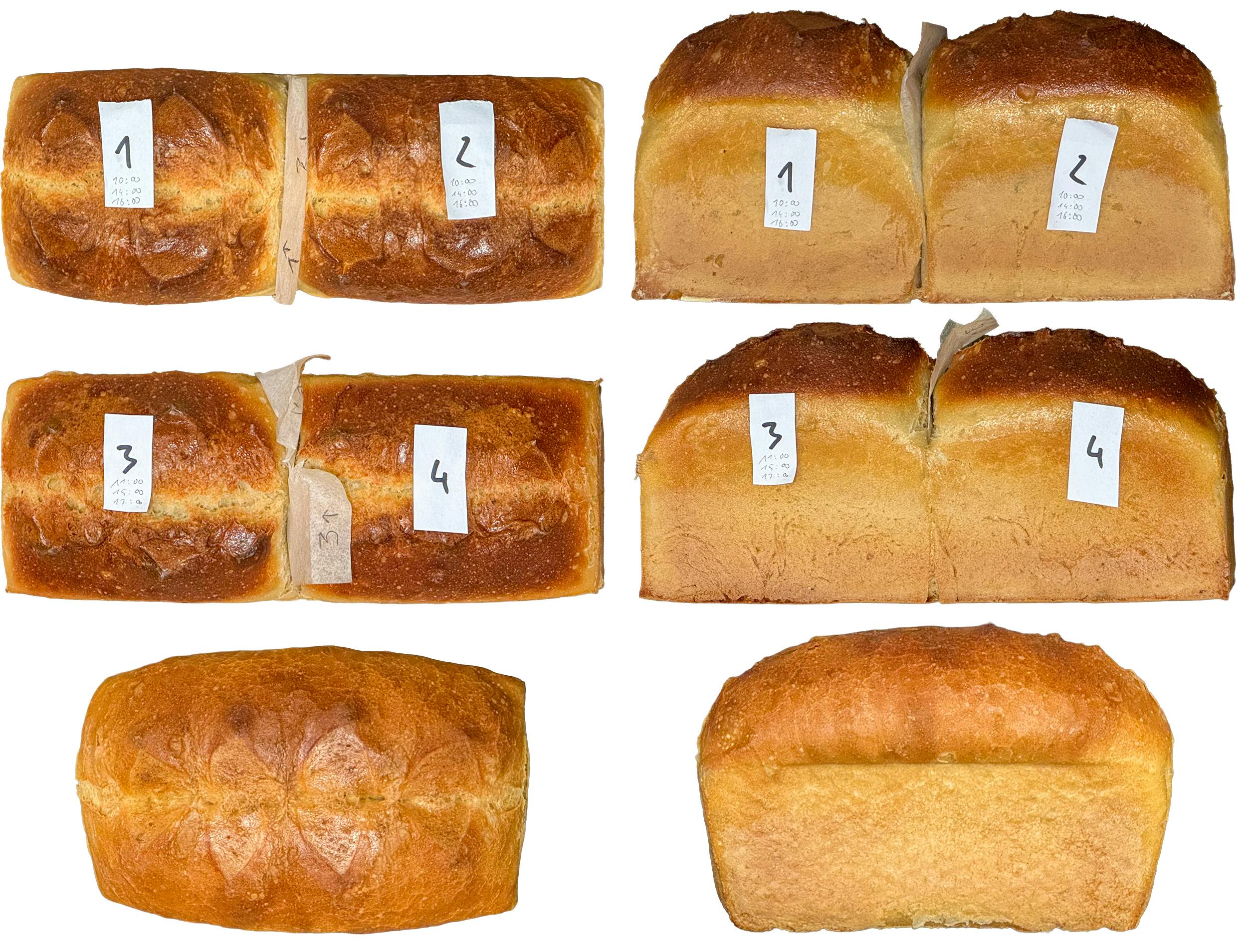 Fünf Brote mit fünf unterschiedlichen Hefen gebacken. Welche geschmacklichen Auswirkungen das hat, erzählt Gastautor Torsten Eden im folgenden Beitrag.