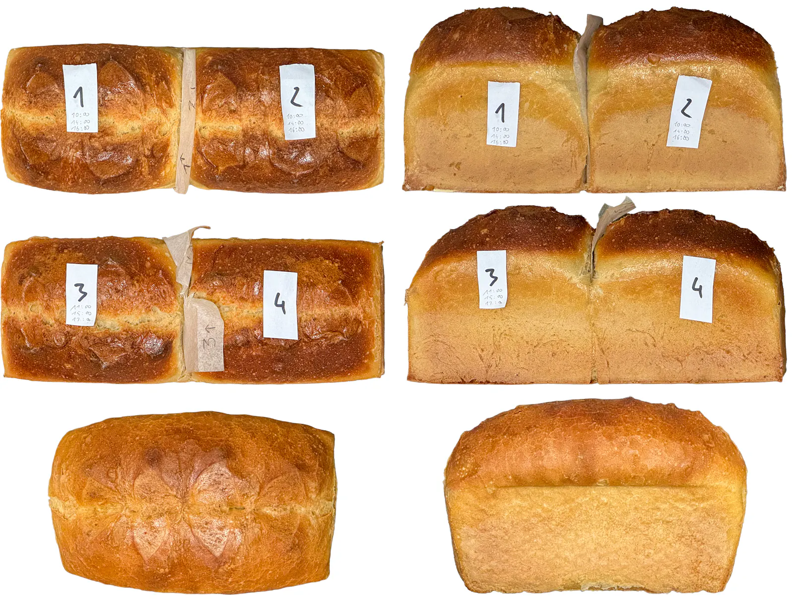 Fünf Brote mit fünf unterschiedlichen Hefen gebacken. Welche geschmacklichen Auswirkungen das hat, erzählt Gastautor Torsten Eden im folgenden Beitrag.
