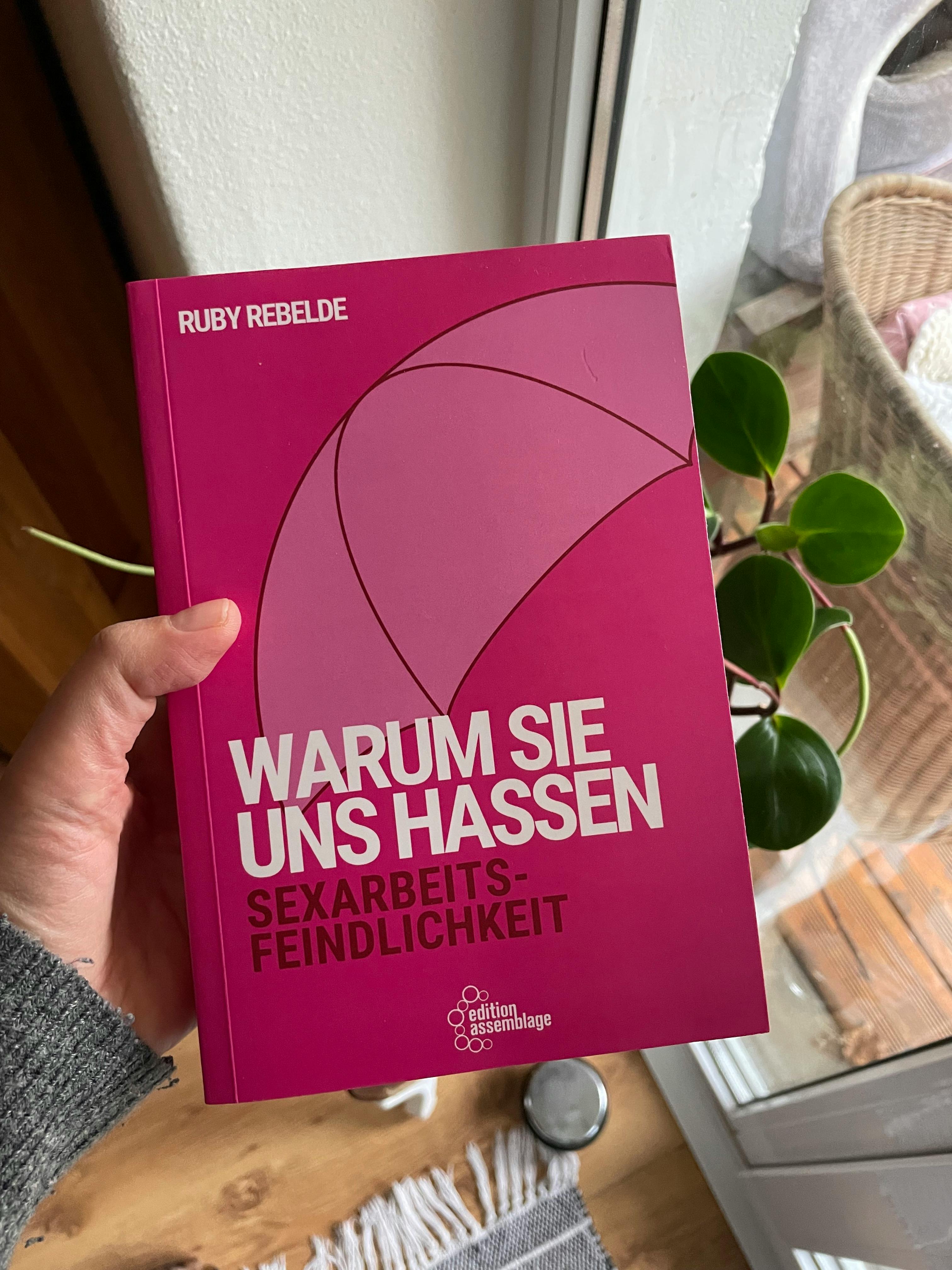 eine hand hält das buch warum sie uns hassen. sexarbeitsfeindlichkeit von ruby rebelde in die kamera