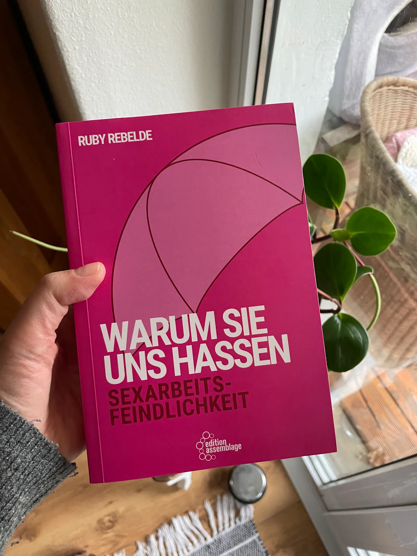 eine hand hält das buch warum sie uns hassen. sexarbeitsfeindlichkeit von ruby rebelde in die kamera