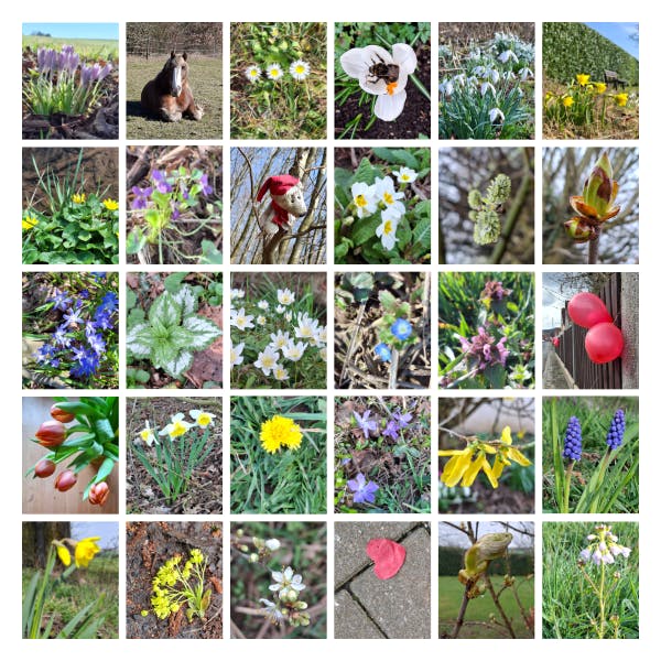 Fotocollage aus 30 Naturmotiven aus dem März. Vor allem div. Blüten, Wildblumen, eine Hummel, ein Pferd, Luftballons, ein rotes Herz