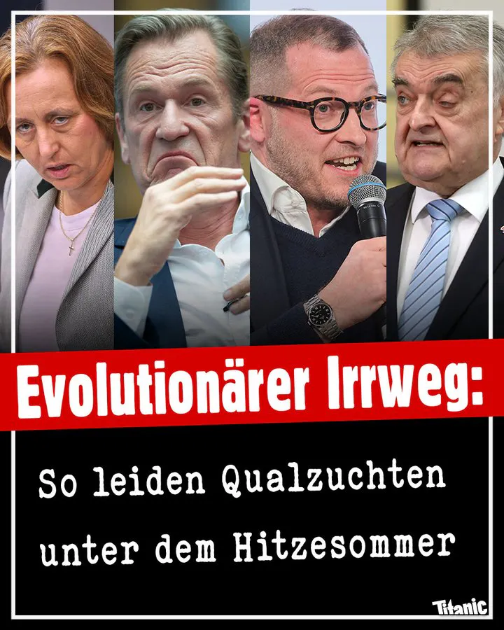 Beatrix von Storch, Matthias Döpfner, Julian Reichelt und Herbert Reul ziehen Grimassen, dazu der Text: "Evolutionärer Irrweg: So leiden Qualzuchten unter dem Hitzesommer".