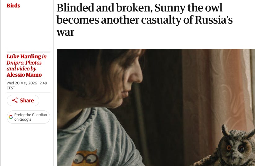 Part of a Guardian screenshot with the woman and the owl showing the headlines and authors.