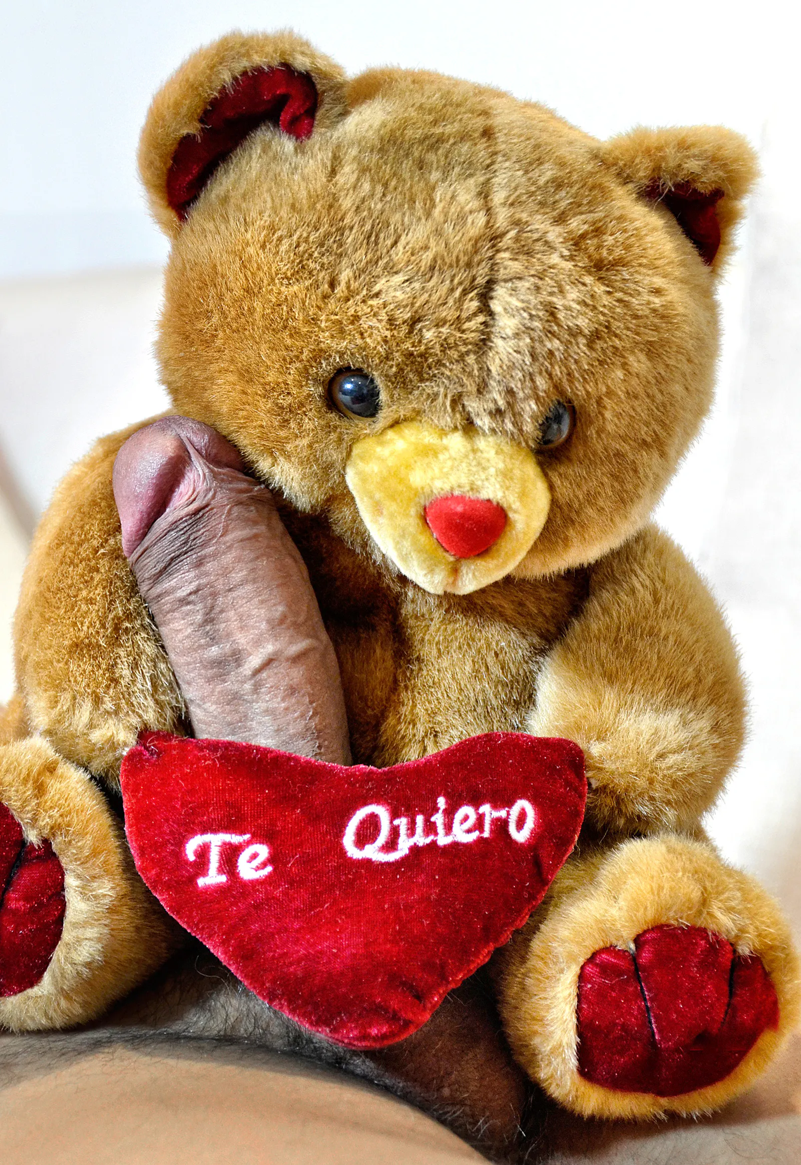 Ein Kuschelbär mit Herz und der Aufschrift Te Quiero an einem Penis ein Bild von Ismael Delarge