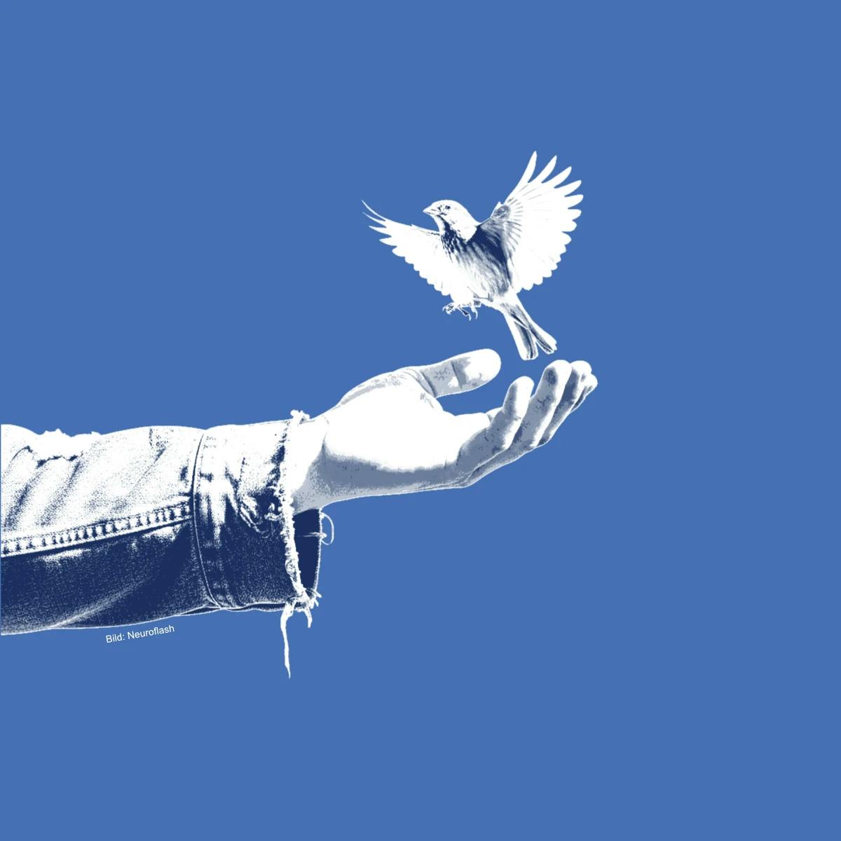 [Eine Hand lässt einen Vogel frei]