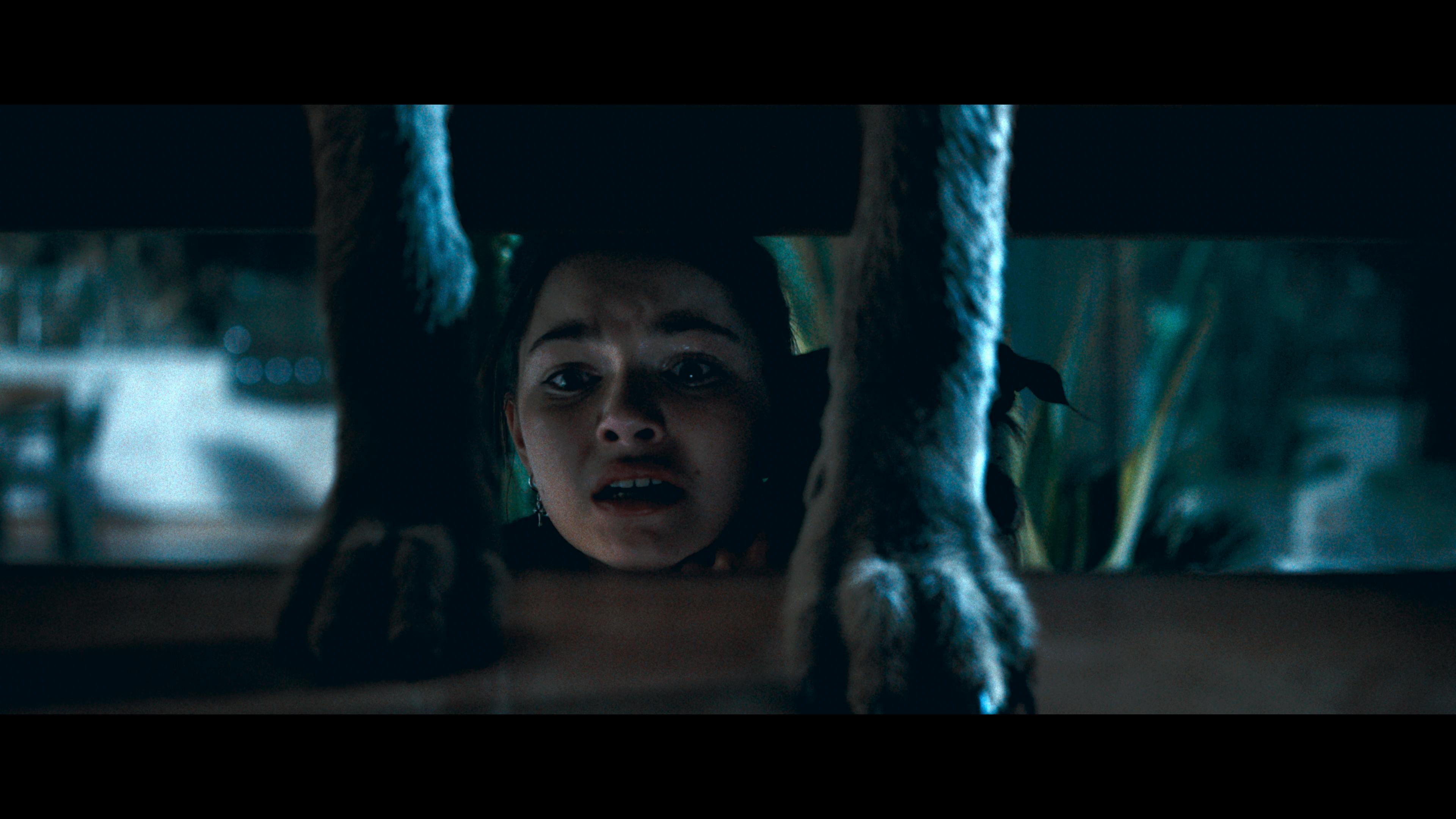 Chloe, Hund, Treppe und Kojote in COYOTES // © Aura Entertainment / DCM / Leonine Distribution