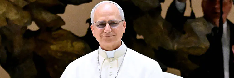 Porträt des neuen Papst Leo XIV.