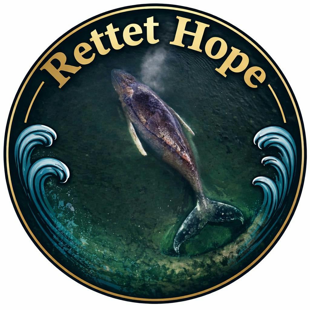 A round button used in campaigns for Timmy the whale (also known as "Hope"), a humpback whale and above it the slogan "Rettet Hope" (German for: Save Hope)