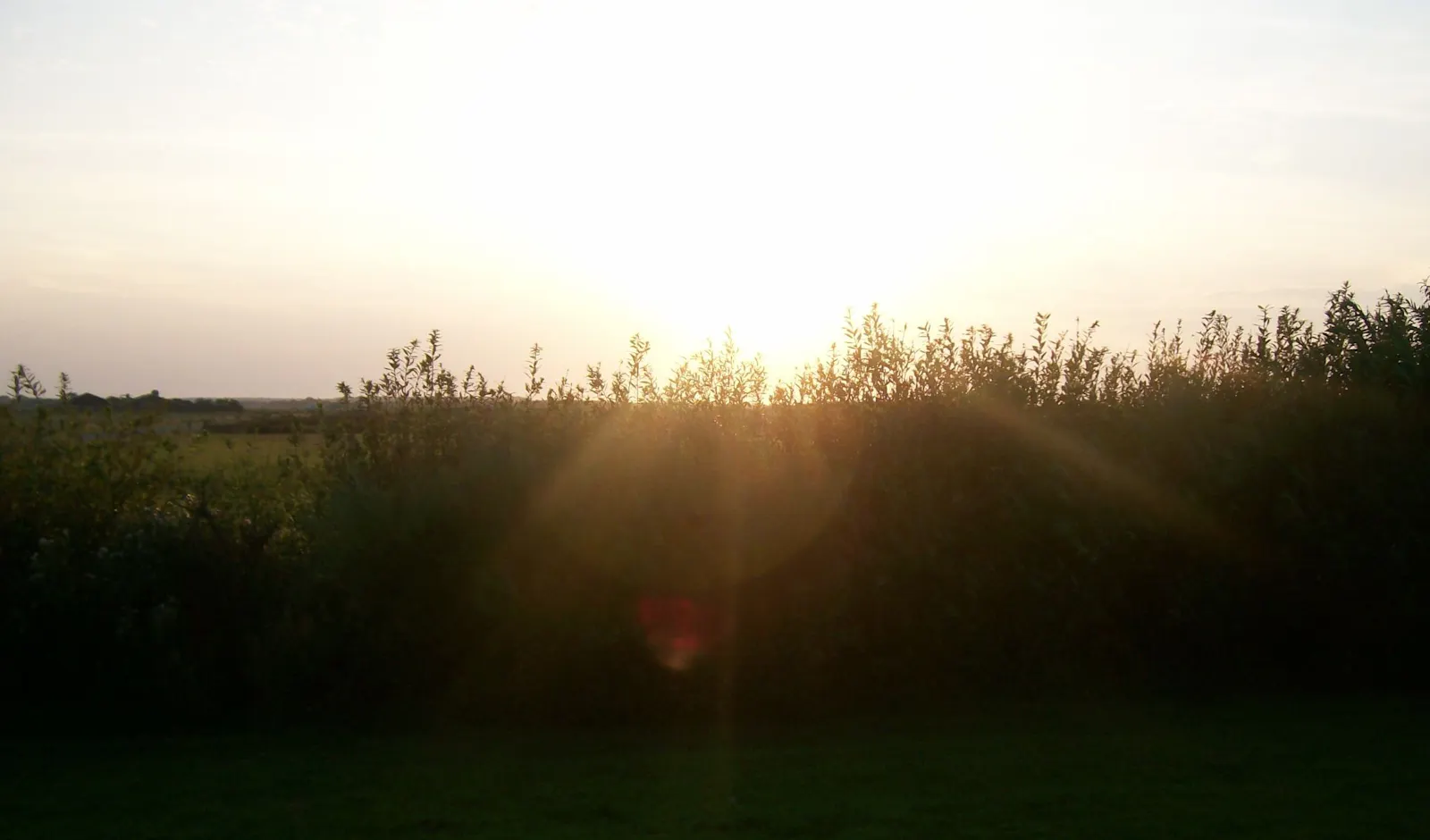 Sonne geht hinterm Horizont unter.