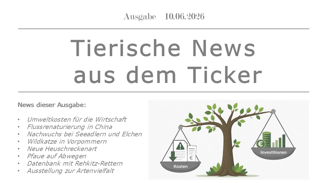 Ein Zeitungslayout. Bild zeigt einen Baum als Waagarm. Rechts die leichtere Waagschale oben, beschriftet als "Innovationen". Links die schwerere Waagschale unten, beschriftet mit "Kosten". Es handelt sich um die Ausgabe der Tierischen News aus dem Ticker, Ausgabe 10. Juni 2026. Links sind die bereits erwähnten Themen aufgeführt.