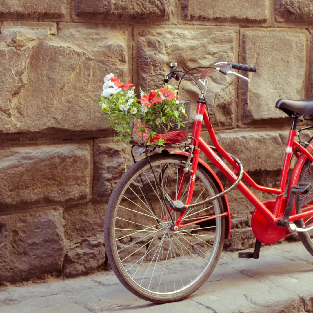 Rotes Fahrrad an Steinmauer mit Blumenkorb vor dem Lenker.