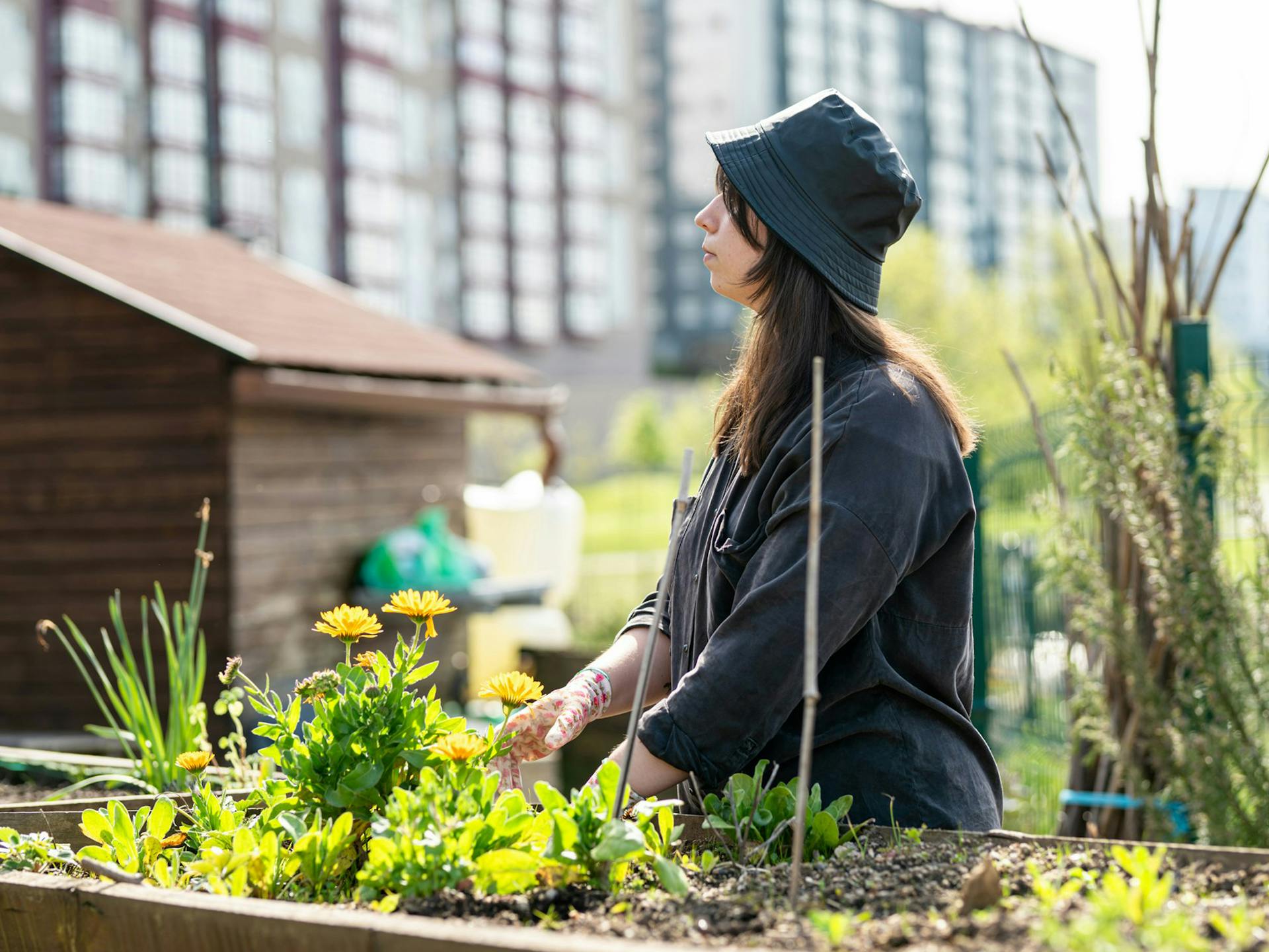 Gärtnern auch ohne Garten – so holst du dir mehr Grün in dein Leben
