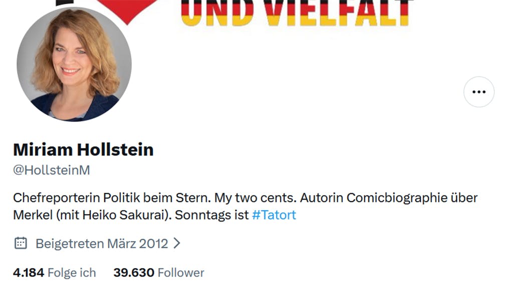 Screenshot des Profils von Hollstein