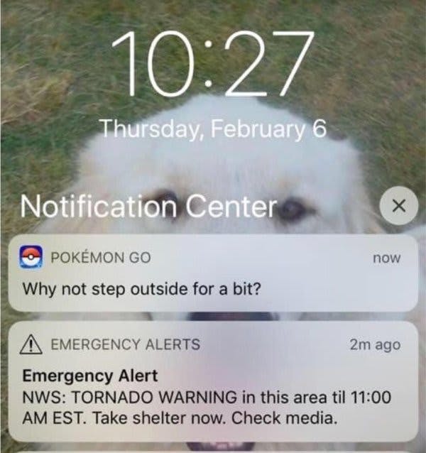 notifiche importanti
