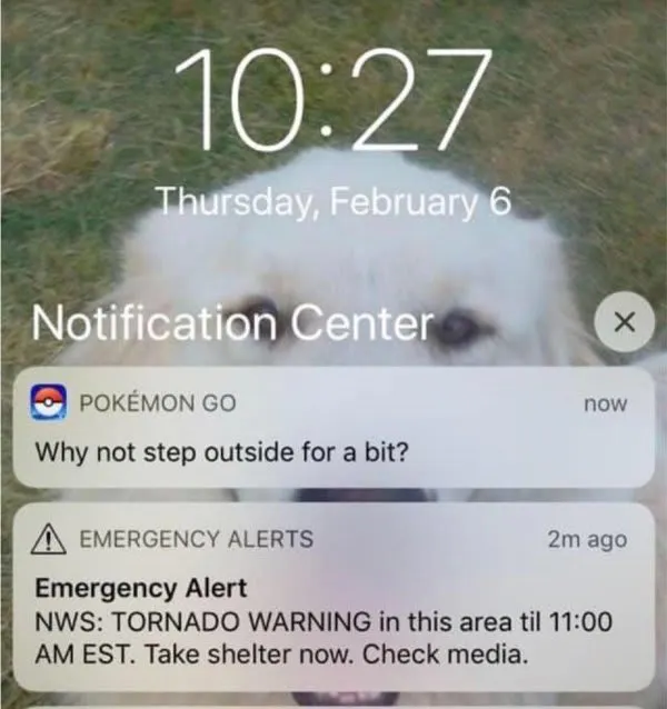 notifiche importanti