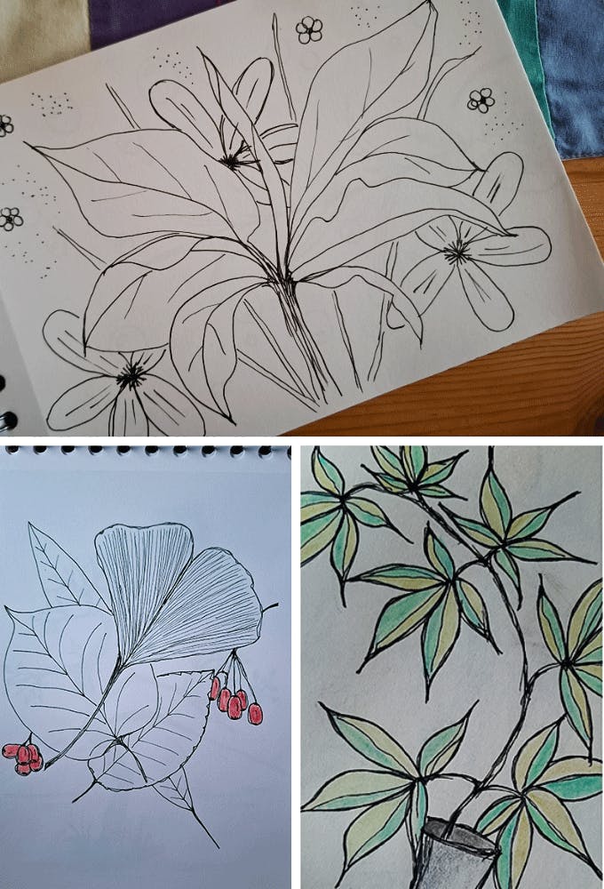 Div Blattzeichnungen im Sketchbook
