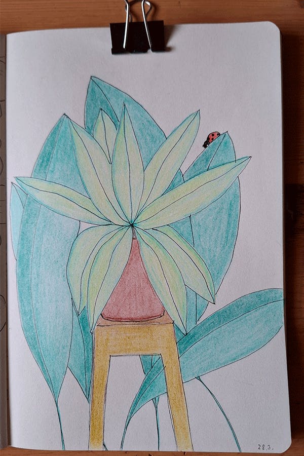 Buntstiftzeichnung im Sketchbook. Große Blätter in Türkis im Hintergrund. Im Vordergrund eine erfundene Topfpflanze auf einem Hocker.